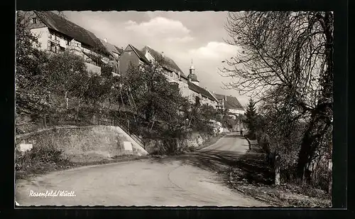 AK Rosenfeld /Württ., Strassenpartie mit Wohhäusern