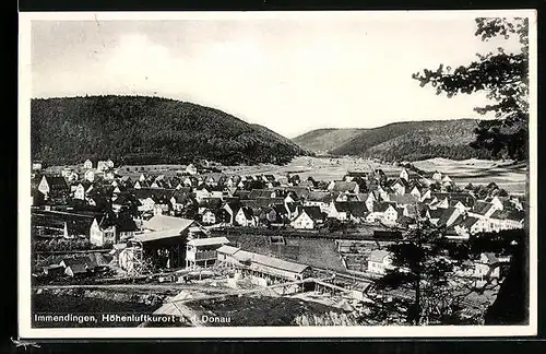 AK Immendingen a. d. Donau, Ortsansicht mit Umgebung