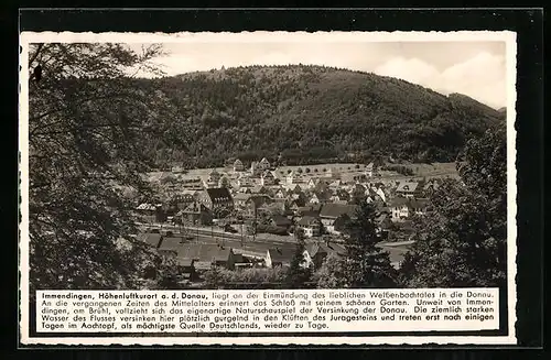 AK Immendingen a. d. Donau, Ortsansicht mit Umland