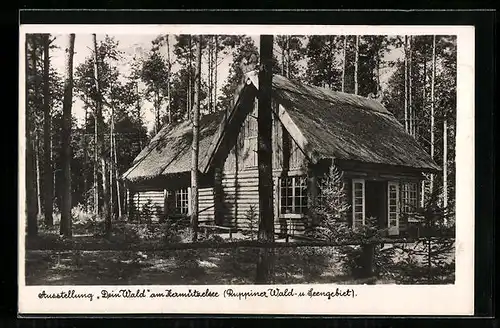 AK Neuruppin, Ausstellung Dein Wald am Zermützelsee, Blockhaus