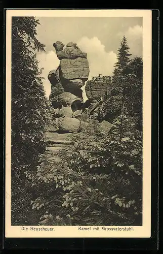 AK Heuscheuer, Kamel mit Grossvaterstuhl