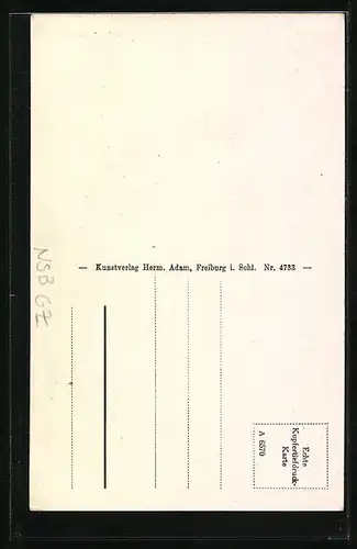 AK Bad Reinerz, Gesamtansicht Schmelzetal