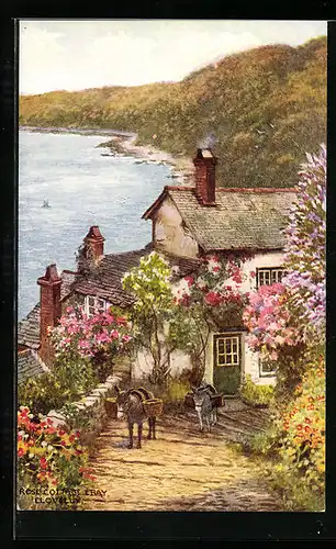 AK Clovelly, Rose Cottage & Bay