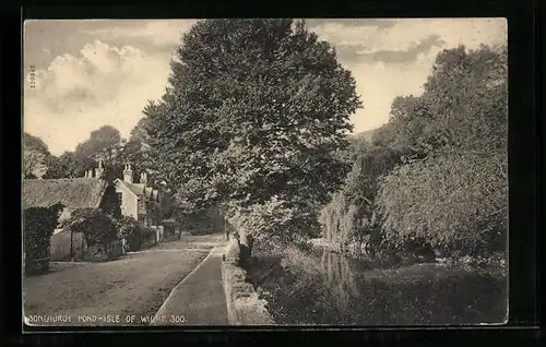 AK Bonchurch, The Pond and Cottages