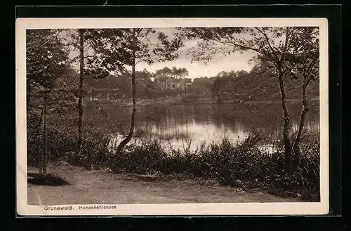 AK Berlin-Grunewald, Blick über den Hundekehlensee