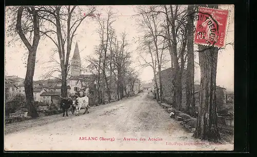 AK Arlanc, Avenue des Acacias