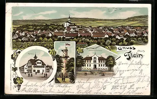 Lithographie Flein, Gesamtansicht, Rathaus, Neues Schulhaus, Schweinsturm