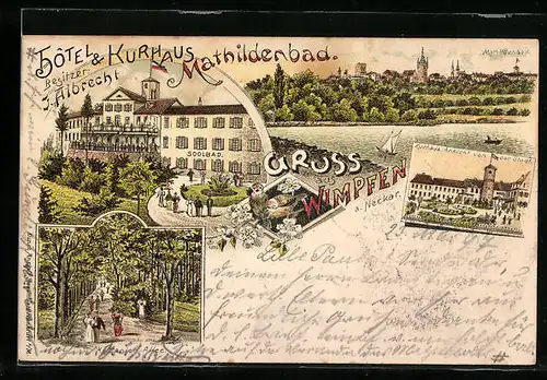 Lithographie Wimpfen a. Neckar, Hôtel & Kurhaus Mathildenbad, Kastanien-Allee, Uferpartie
