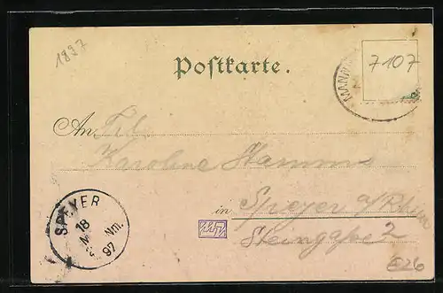 Lithographie Wimpfen, Badhotel Ritter, Totalansicht