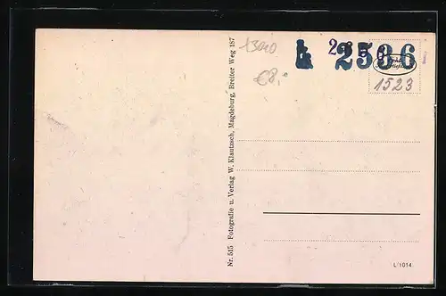 AK Magdeburg, Strassenbahnen auf dem Hasselbachplatz