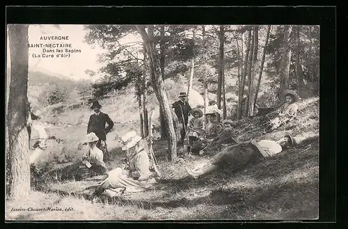 AK Saint-Nectaire, Auvergne, Dans les Sapins