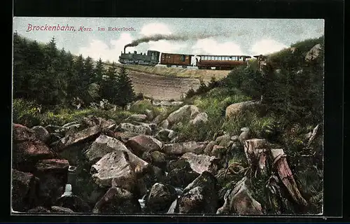 AK Harz, Brockenbahn im Eckerloch