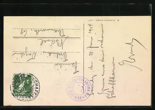 AK Schaffhausen, Schloss am Rheinfall