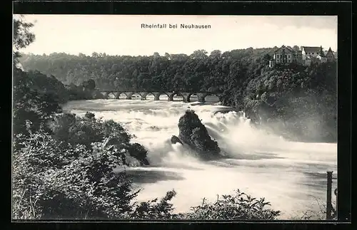 AK Neuhausen, Rheinfall mit Umgebung