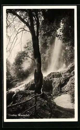 AK Uracher Wasserfall mit Bäumen