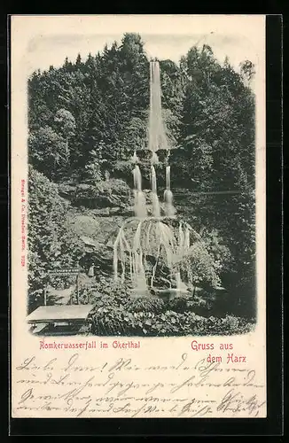 AK Okerthal /Harz, Romkerwasserfall mit Wald