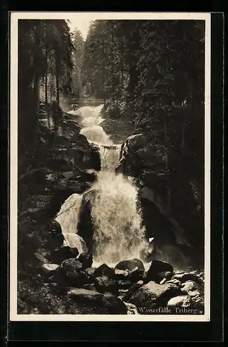 AK Triberg, Wasserfall mit Wald