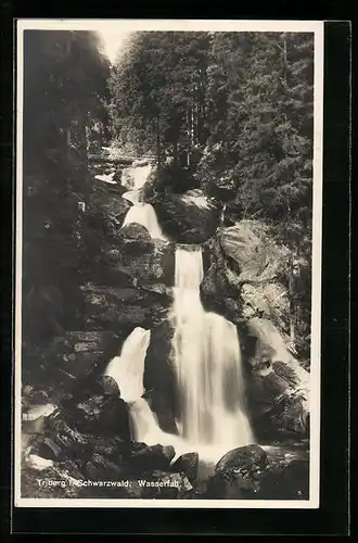 AK Triberg i. Schwarzwald, Wasserfall im Wald