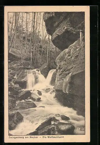 AK Zwingenberg am Neckar, Die Wolfsschlucht