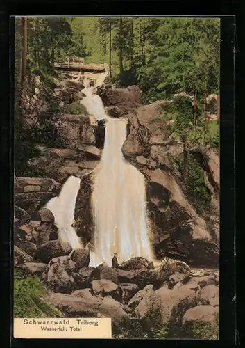 AK Triberg /Schwarzwald, Wasserfall, Total