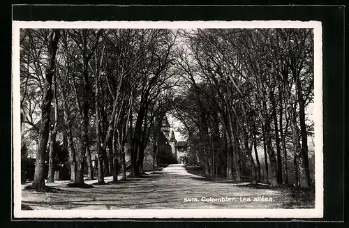 AK Colombier, Les allées
