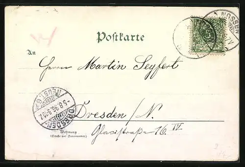 Lithographie Nossen, Ortsansicht, Schule, Seminar