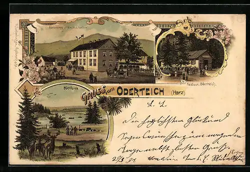 Lithographie Oderteich im Harz, Gasthof Sonnenberg, Restaurant Oderteich