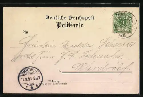 Vorläufer-AK Ohrdruf, Teilansicht, Marktstrasse, Kirchgasse, Post 1895