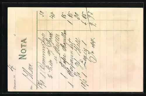 Lithographie Blankenburg /Harz, Gesamtansicht, Gebirgs-Hotel