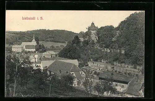AK Liebstadt i. S., Blick über die Ortschaft zur Kirche hin