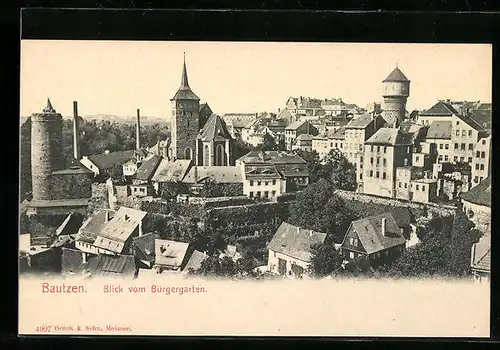 AK Bautzen, Stadtansicht vom Bürgergarten aus