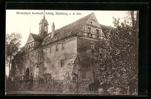 AK Mühlberg a. d. Elbe, vor dem ehemaligen kurfürstl. Schloss