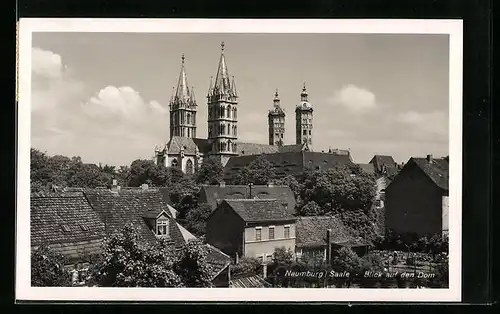 AK Naumburg a. Saale, Blick auf den Dom
