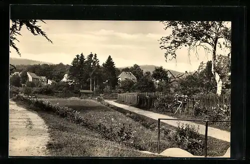 AK Gräfenhain bei Gotha, kleiner Weg am gartenzaun