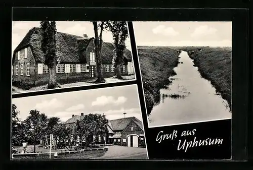 AK Uphusum bei Südtondern, Kühe am Kanalufer, vor dem landhaus