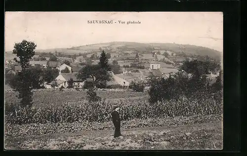 AK Sauvagnac, Vue generale