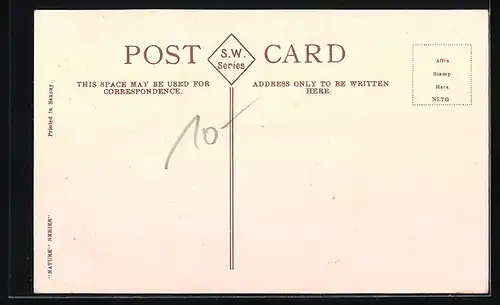 AK Sydney, St. Mary`s Cathedral