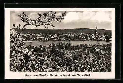 AK Werder / Havel, Ortsansicht während der Baumblüte