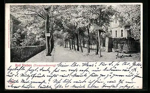 AK Bad Steben, Promenadenweg