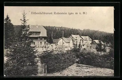 AK Ruhestein, Ortspartie aus der Vogelschau