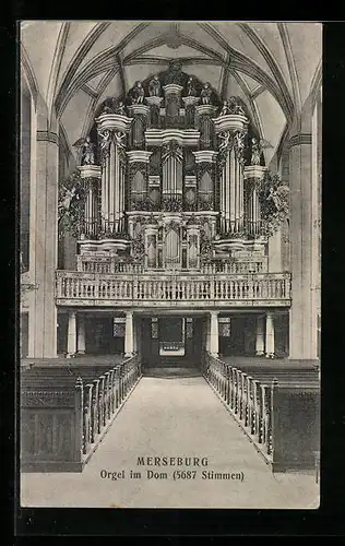 AK Merseburg, Orgel im Dom