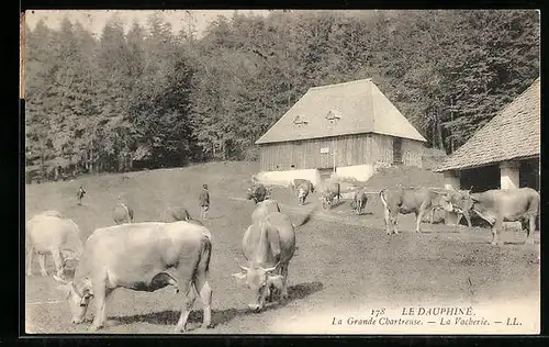 AK La Vacherie, Kühe auf der Weide