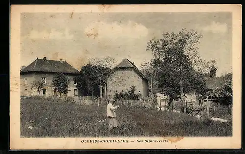 AK Olouise-Crucilleux, Les Sapins-verts