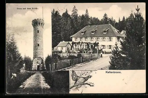 AK Kaltenbronn, Turm auf dem Holoh