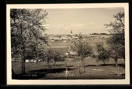 AK Hellmonsödt, Panorama mit Kirche