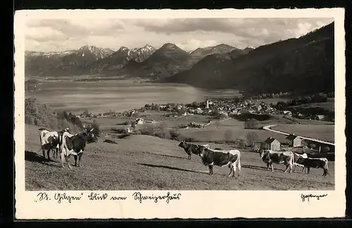 AK St. Gilgen, Blick vom Schweizerhaus