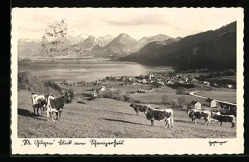 AK St. Gilgen, Blick vom Schweizerhaus