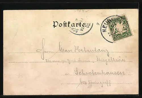 AK Neuburg a. D., Totalansicht des Ortes mit Gewässer