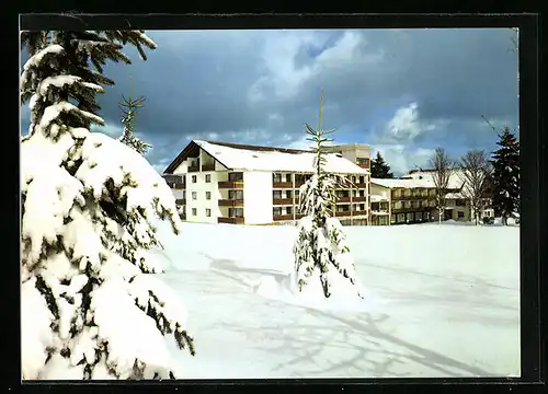 AK Besenfeld /Schwarzwald bei Freudenstadt, das Schwarzwald-Hotel Oberwiesenhof im Winter