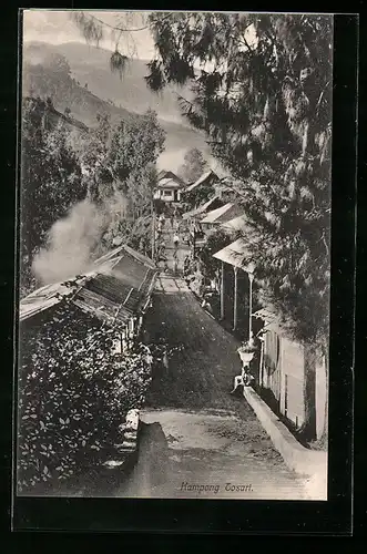 AK Kampong Tosari, Strasse in den Ort, Sanatorium Tosari